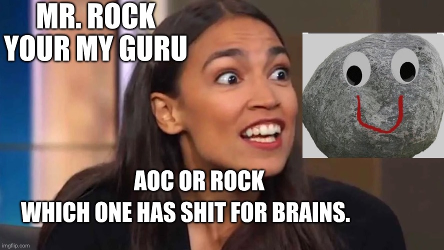 Crazy AOC | MR. ROCK YOUR MY GURU; WHICH ONE HAS SHIT FOR BRAINS. AOC OR ROCK | image tagged in crazy aoc | made w/ Imgflip meme maker