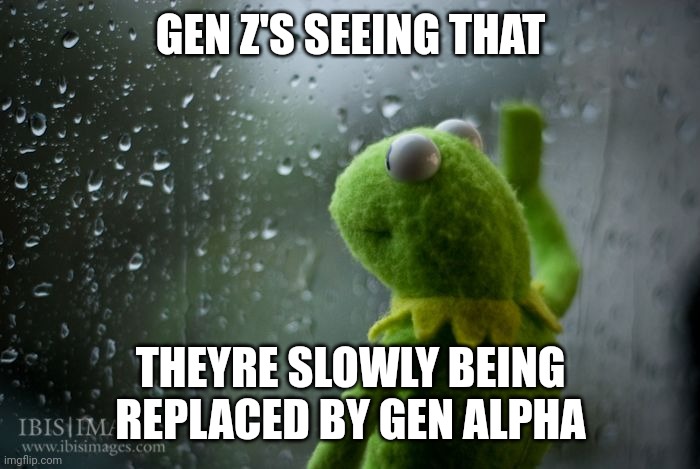 But gen zs were fire | GEN Z'S SEEING THAT; THEYRE SLOWLY BEING REPLACED BY GEN ALPHA | image tagged in kermit window | made w/ Imgflip meme maker