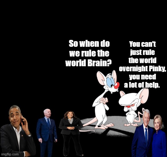 Meet the DEMrats | So when do we rule the world Brain? You can't just rule the world overnight Pinky, you need a lot of help. | image tagged in nwo | made w/ Imgflip meme maker