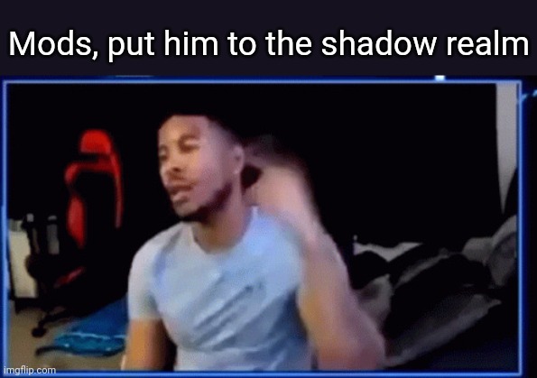 Mods ban him | Mods, put him to the shadow realm | image tagged in mods ban him | made w/ Imgflip meme maker