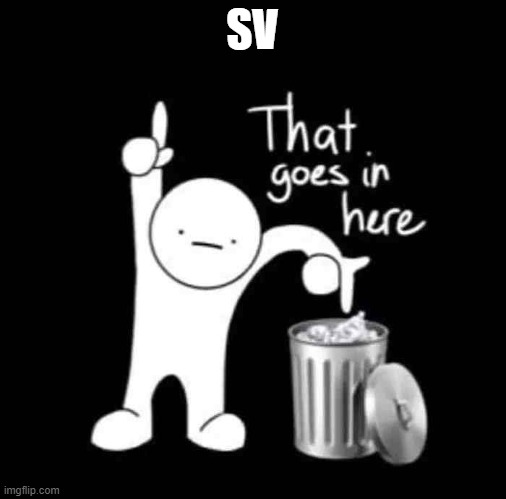 that goes in here | SV | image tagged in that goes in here | made w/ Imgflip meme maker