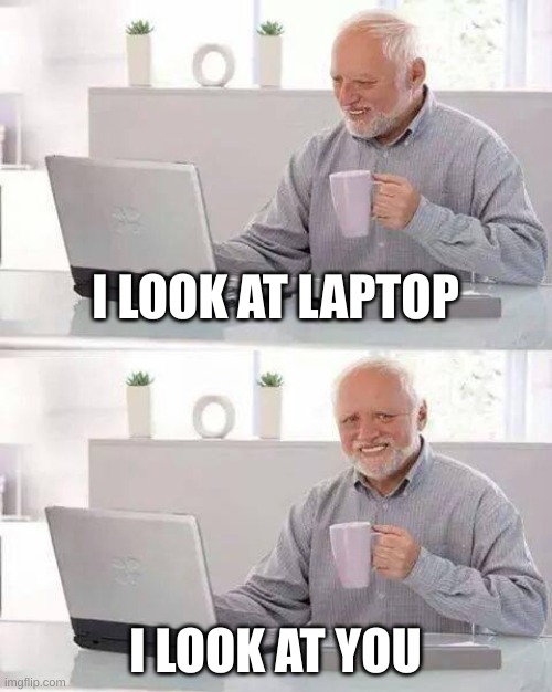 Logic | I LOOK AT LAPTOP; I LOOK AT YOU | image tagged in memes,hide the pain harold | made w/ Imgflip meme maker