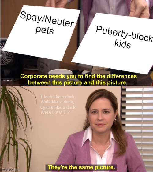 They're The Same Picture | Spay/Neuter pets; Puberty-block kids; I look like a duck,
Walk like a duck,
Quack like a duck
WHAT AM I ? | image tagged in memes,they're the same picture | made w/ Imgflip meme maker