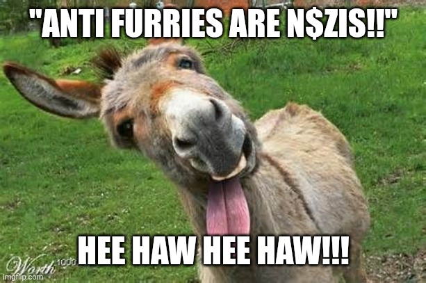 Laughing Donkey | "ANTI FURRIES ARE N$ZIS!!" HEE HAW HEE HAW!!! | image tagged in laughing donkey | made w/ Imgflip meme maker