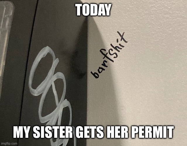 Barfshit | TODAY; MY SISTER GETS HER PERMIT | image tagged in barfshit | made w/ Imgflip meme maker