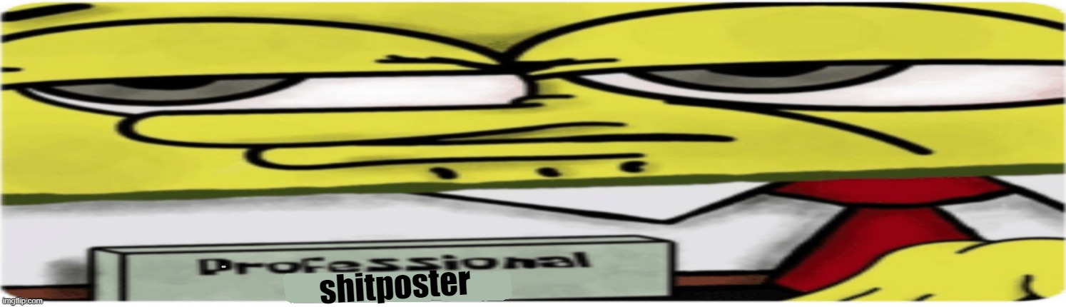 Professional (Blank) Sponge bob | shitposter | image tagged in professional blank sponge bob | made w/ Imgflip meme maker