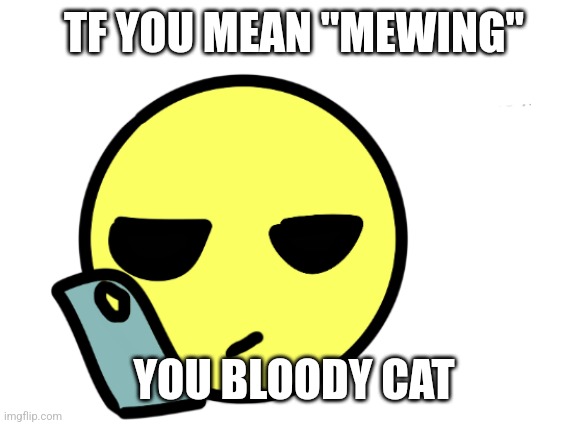 Where tf is the funny | TF YOU MEAN "MEWING"; YOU BLOODY CAT | image tagged in where tf is the funny | made w/ Imgflip meme maker
