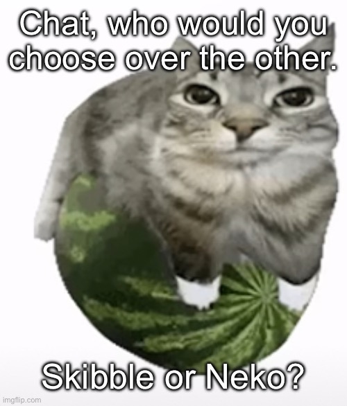 Happ | Chat, who would you choose over the other. Skibble or Neko? | image tagged in happ | made w/ Imgflip meme maker