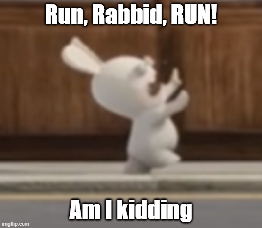 Running Rabbid | Run, Rabbid, RUN! Am I kidding | image tagged in running rabbid | made w/ Imgflip meme maker