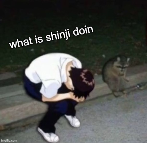 shinj crying with his raccoon homie | what is shinji doin | image tagged in shinj crying with his raccoon homie | made w/ Imgflip meme maker