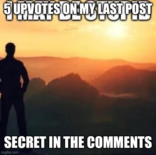 I may be stupid | 5 UPVOTES ON MY LAST POST; SECRET IN THE COMMENTS | image tagged in i may be stupid | made w/ Imgflip meme maker