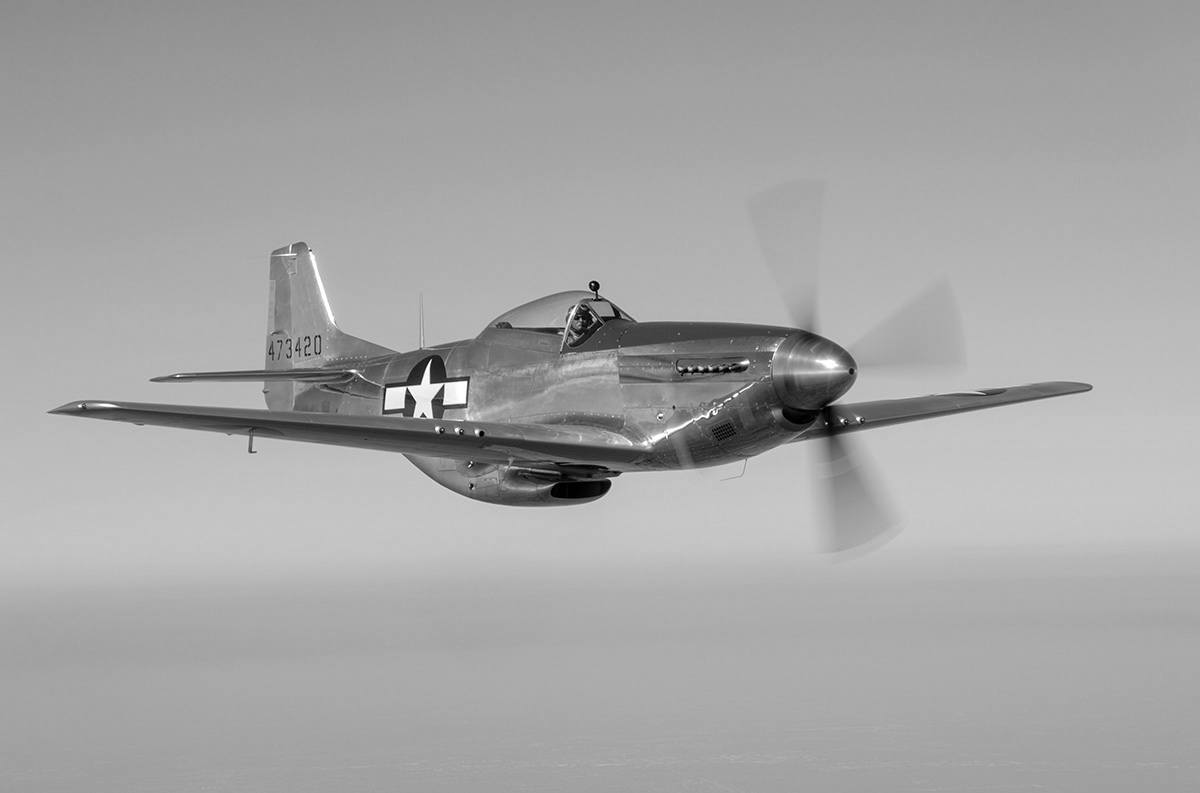 p 51 mustang Blank Meme Template