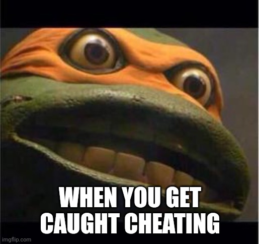 It's true | WHEN YOU GET CAUGHT CHEATING | image tagged in teen age mutant ninja turtle | made w/ Imgflip meme maker