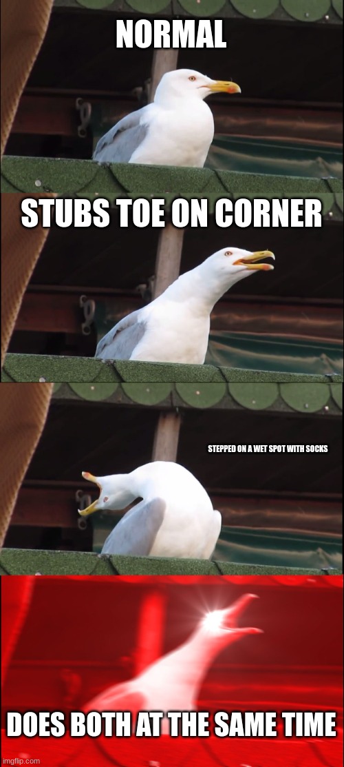 unsatisfying thing we all do | NORMAL; STUBS TOE ON CORNER; STEPPED ON A WET SPOT WITH SOCKS; DOES BOTH AT THE SAME TIME | image tagged in memes,inhaling seagull | made w/ Imgflip meme maker