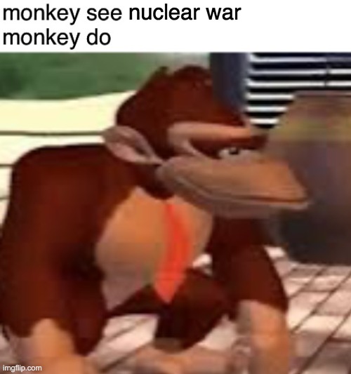 Monkey see monkey do | nuclear war | image tagged in monkey see monkey do | made w/ Imgflip meme maker