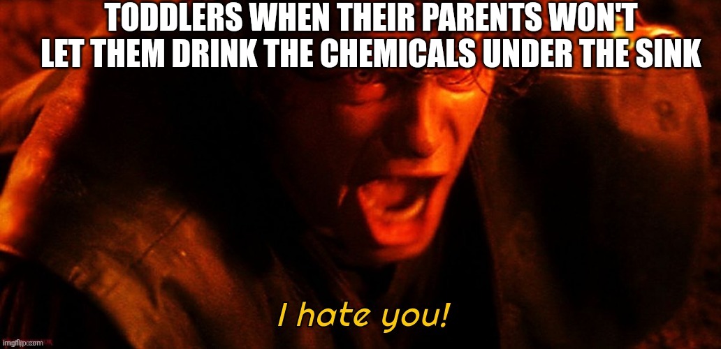 Real | TODDLERS WHEN THEIR PARENTS WON'T LET THEM DRINK THE CHEMICALS UNDER THE SINK | image tagged in i hate you,memes,funny | made w/ Imgflip meme maker