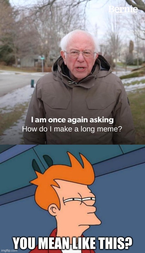 How do I make a long meme? YOU MEAN LIKE THIS? | image tagged in memes,bernie i am once again asking for your support,futurama fry | made w/ Imgflip meme maker