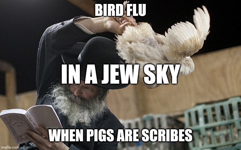 Jew Swings a Chicken | BIRD FLU; IN A JEW SKY; WHEN PIGS ARE SCRIBES | image tagged in jew swings a chicken | made w/ Imgflip meme maker