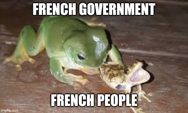 cannibal frog | FRENCH GOVERNMENT; FRENCH PEOPLE | image tagged in cannibal frog | made w/ Imgflip meme maker