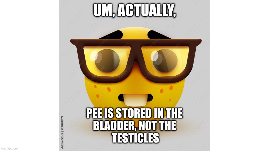 Nerrrrdddd | UM, ACTUALLY, PEE IS STORED IN THE
BLADDER, NOT THE
 TESTICLES | image tagged in um actually | made w/ Imgflip meme maker