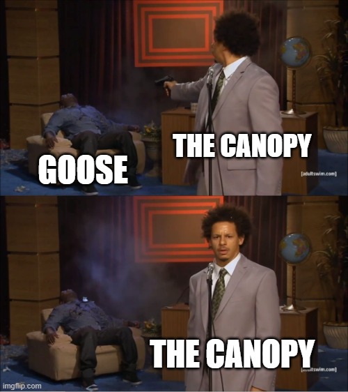 top gun lore | THE CANOPY; GOOSE; THE CANOPY | image tagged in memes,who killed hannibal | made w/ Imgflip meme maker