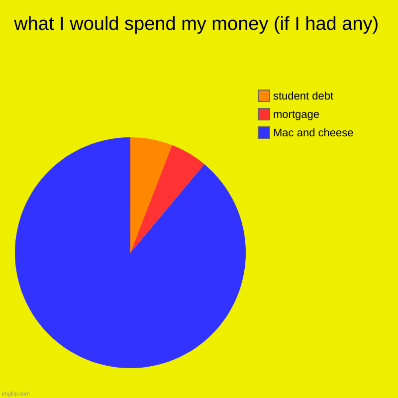 what I would spend my money (if I had any) | Mac and cheese, mortgage, student debt | image tagged in charts,pie charts | made w/ Imgflip chart maker