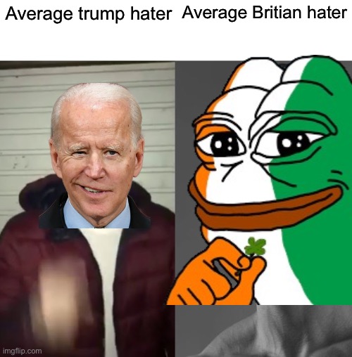 Average Fan vs Average Enjoyer | Average trump hater Average Britian hater | image tagged in average fan vs average enjoyer | made w/ Imgflip meme maker