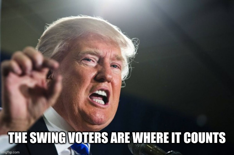donald trump | THE SWING VOTERS ARE WHERE IT COUNTS | image tagged in donald trump | made w/ Imgflip meme maker