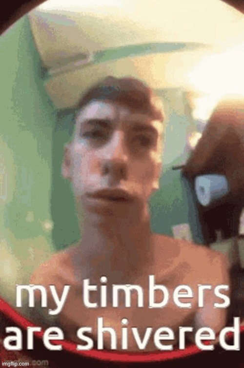 my timbers are shivered | image tagged in my timbers are shivered | made w/ Imgflip meme maker