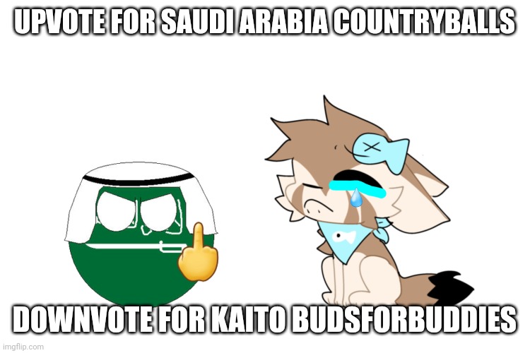 Upvote or downvote | UPVOTE FOR SAUDI ARABIA COUNTRYBALLS; DOWNVOTE FOR KAITO BUDSFORBUDDIES | image tagged in saudi arabia countryballs hates kaito budsforbuddies,upvote,upvotes,downvote,downvotes,countryballs vs gacha | made w/ Imgflip meme maker