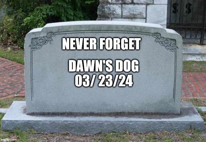 Idk the exact date | NEVER FORGET; DAWN'S DOG
03/ 23/24 | image tagged in gravestone | made w/ Imgflip meme maker