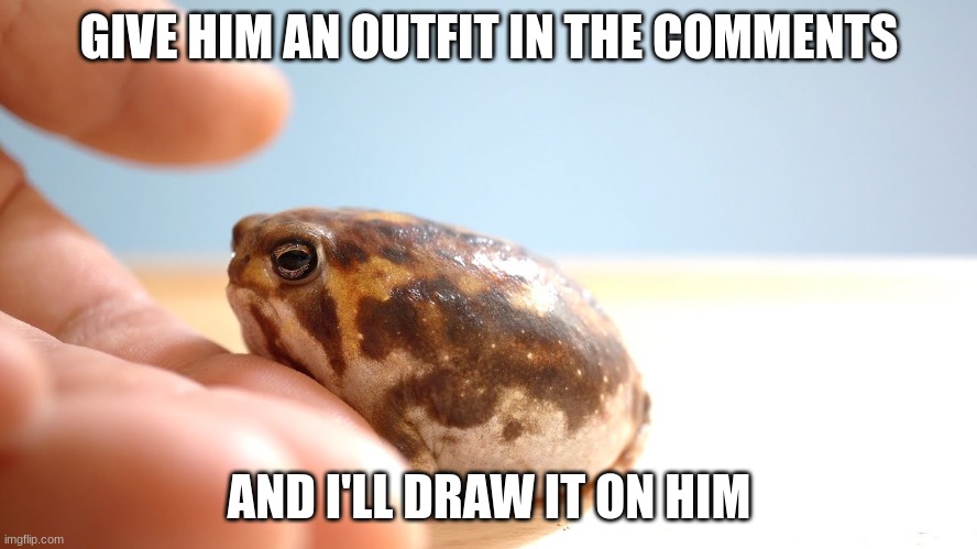 u dont have to tho ^^ | GIVE HIM AN OUTFIT IN THE COMMENTS; AND I'LL DRAW IT ON HIM | image tagged in frog,outfit,drawing | made w/ Imgflip meme maker