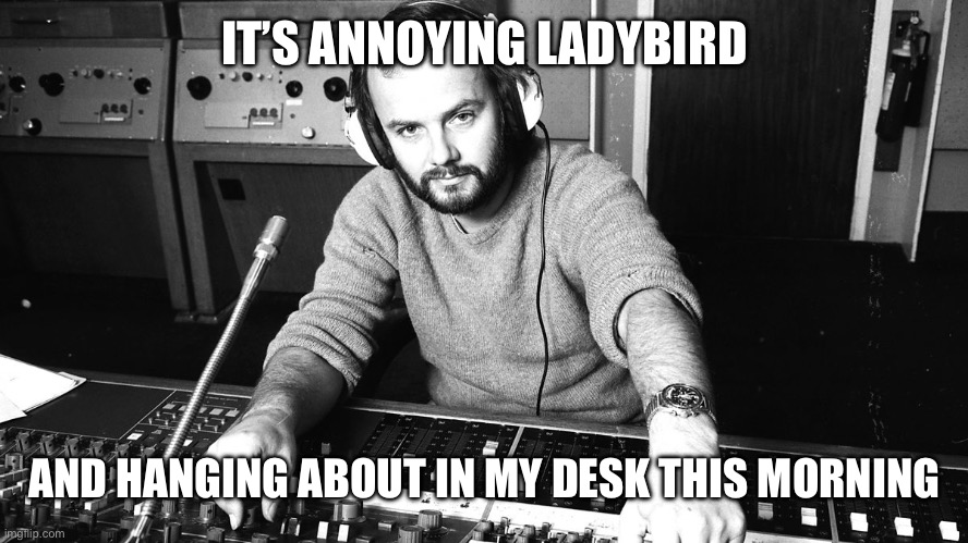 John Peel | IT’S ANNOYING LADYBIRD; AND HANGING ABOUT IN MY DESK THIS MORNING | image tagged in john peel | made w/ Imgflip meme maker