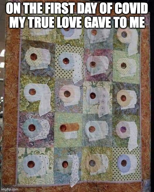 On the first day of COVID my true love gave to me | ON THE FIRST DAY OF COVID
MY TRUE LOVE GAVE TO ME | image tagged in 12 days of christmas,tp,they see me rolling | made w/ Imgflip meme maker