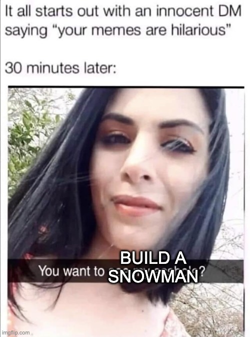 Melted | BUILD A
SNOWMAN | image tagged in frozen,do you wanna build a snowman | made w/ Imgflip meme maker