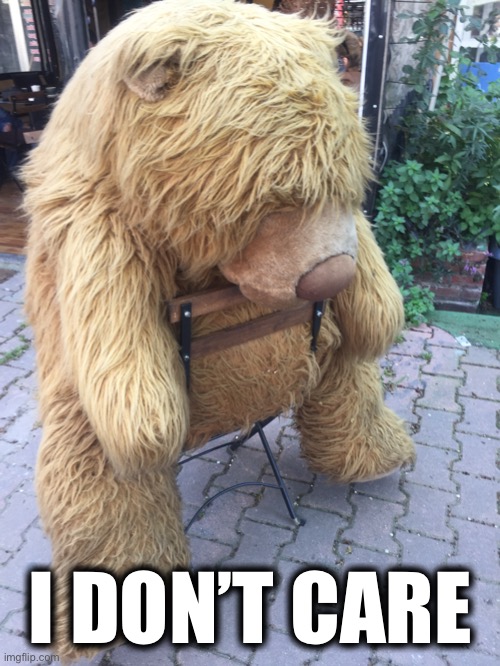 Freddy fazbear | I DON’T CARE | image tagged in freddy fazbear | made w/ Imgflip meme maker