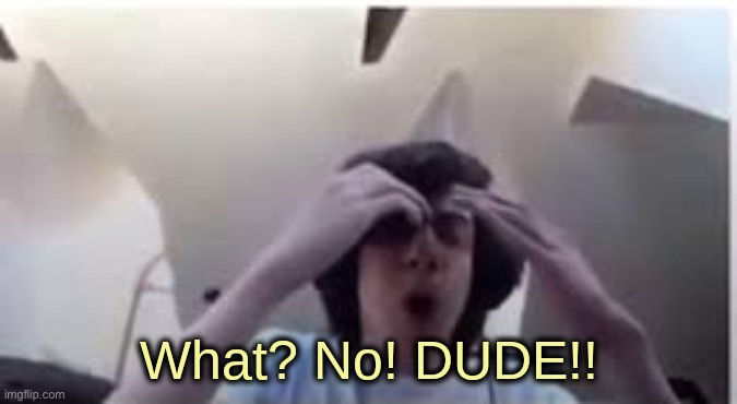 What? No! DUDE!! | image tagged in what no dude | made w/ Imgflip meme maker