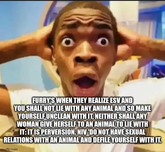 Surprised Black Guy | FURRY'S WHEN THEY REALIZE ESV AND YOU SHALL NOT LIE WITH ANY ANIMAL AND SO MAKE YOURSELF UNCLEAN WITH IT, NEITHER SHALL ANY WOMAN GIVE HERSE | image tagged in surprised black guy | made w/ Imgflip meme maker