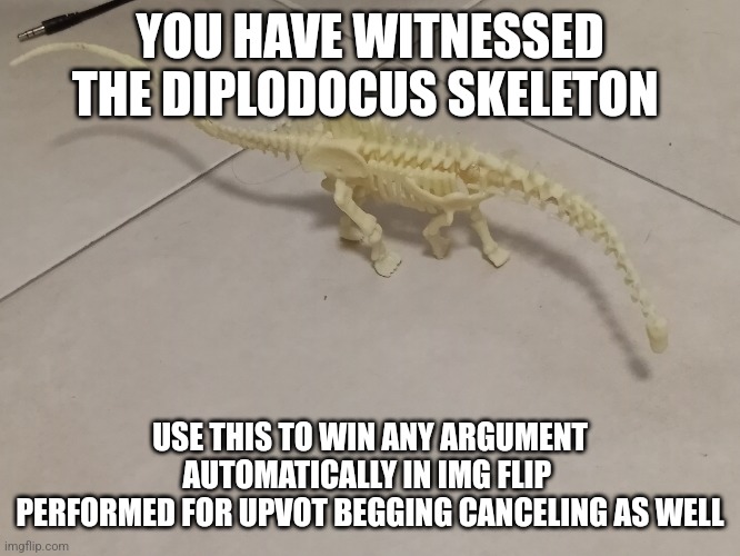 Use this to win argument | YOU HAVE WITNESSED THE DIPLODOCUS SKELETON; USE THIS TO WIN ANY ARGUMENT AUTOMATICALLY IN IMG FLIP 
PERFORMED FOR UPVOT BEGGING CANCELING AS WELL | image tagged in usetowinargument | made w/ Imgflip meme maker