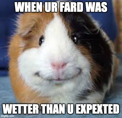 Guinea Pig | WHEN UR FARD WAS; WETTER THAN U EXPEXTED | image tagged in guinea pig | made w/ Imgflip meme maker