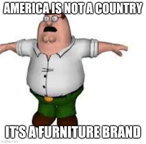 peter griffin t pose | AMERICA IS NOT A COUNTRY; IT'S A FURNITURE BRAND | image tagged in peter griffin t pose | made w/ Imgflip meme maker