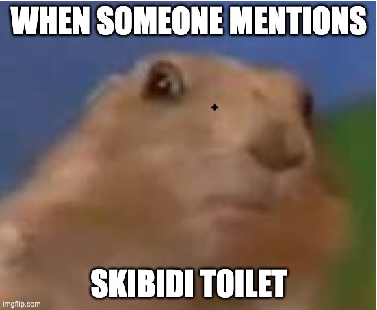The hamster eye | WHEN SOMEONE MENTIONS; SKIBIDI TOILET | image tagged in the hamster eye | made w/ Imgflip meme maker