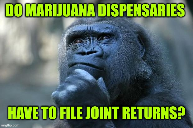 Deep Thoughts | DO MARIJUANA DISPENSARIES; HAVE TO FILE JOINT RETURNS? | image tagged in deep thoughts | made w/ Imgflip meme maker