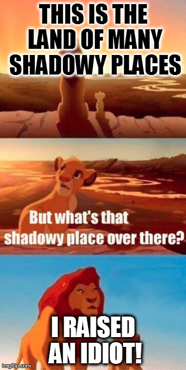 Simba Shadowy Place Meme | THIS IS THE LAND OF MANY SHADOWY PLACES I RAISED AN IDIOT! | image tagged in memes,simba shadowy place | made w/ Imgflip meme maker