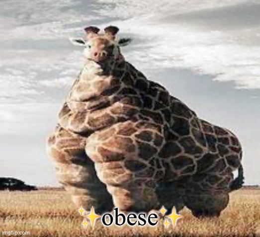 Obese | ✨obese✨ | image tagged in fat giraffe | made w/ Imgflip meme maker