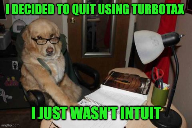 Accountant Dog | I DECIDED TO QUIT USING TURBOTAX; I JUST WASN'T INTUIT | image tagged in accountant dog | made w/ Imgflip meme maker