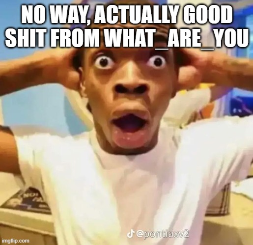 Shocked black guy | NO WAY, ACTUALLY GOOD SHIT FROM WHAT_ARE_YOU | image tagged in shocked black guy | made w/ Imgflip meme maker