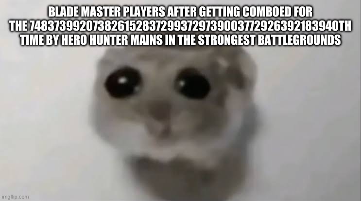 Sad Hamster | BLADE MASTER PLAYERS AFTER GETTING COMBOED FOR THE 7483739920738261528372993729739003772926392183940TH TIME BY HERO HUNTER MAINS IN THE STRONGEST BATTLEGROUNDS | image tagged in sad hamster | made w/ Imgflip meme maker