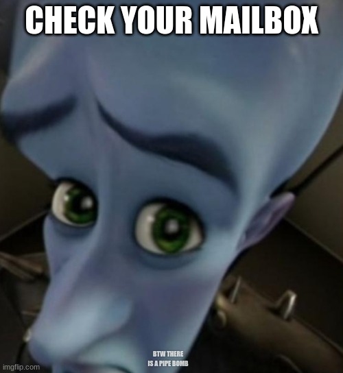 Go ahead, look | CHECK YOUR MAILBOX; BTW THERE IS A PIPE BOMB | image tagged in megamind no bitches,look closely | made w/ Imgflip meme maker