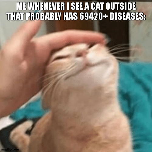 SO RELATABLE BRO | ME WHENEVER I SEE A CAT OUTSIDE THAT PROBABLY HAS 69420+ DISEASES: | image tagged in pet the cat | made w/ Imgflip meme maker